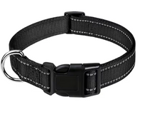 Collier pour chien