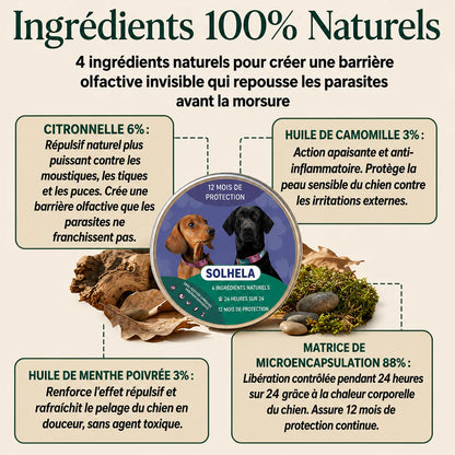 Diffuseur anti puces et tiques 100% naturel