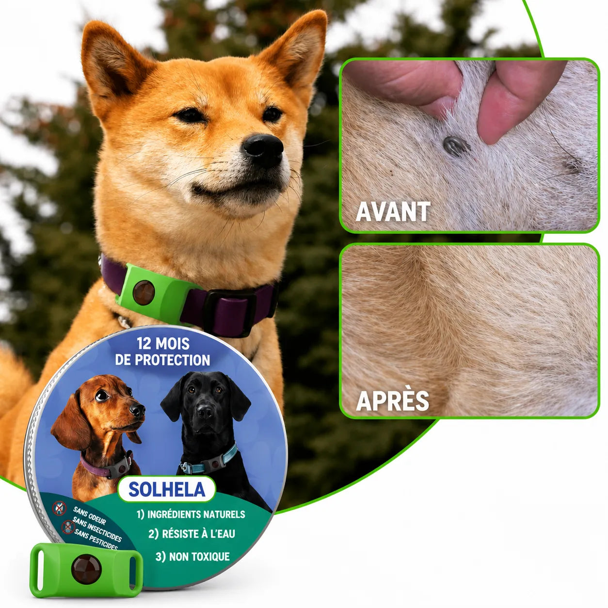 Diffuseur anti puces et tiques 100% naturel