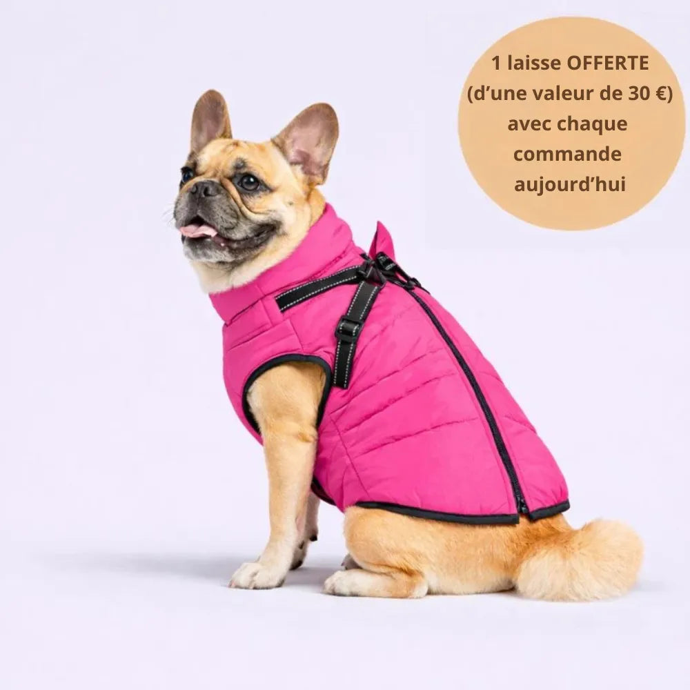WinterShield™ Veste d’hiver 3-en-1 * Laisse offerte aujourd’hui *