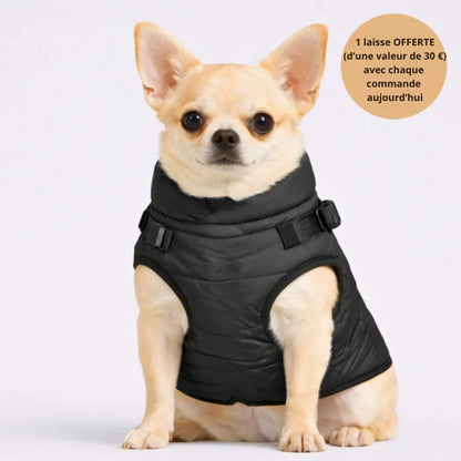 WinterShield™ Veste d’hiver 3-en-1 * Laisse offerte aujourd’hui *