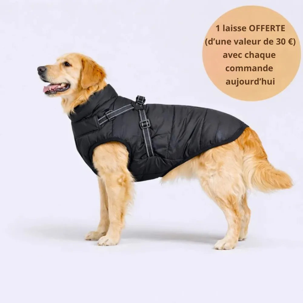 WinterShield™ Veste d’hiver 3-en-1 * Laisse offerte aujourd’hui *
