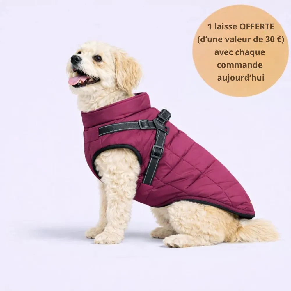 WinterShield™ Veste d’hiver 3-en-1 * Laisse offerte aujourd’hui *
