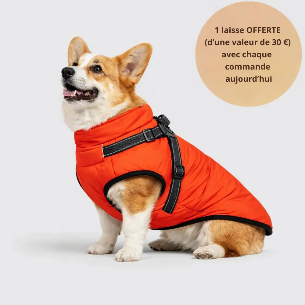 WinterShield™ Veste d’hiver 3-en-1 * Laisse offerte aujourd’hui *