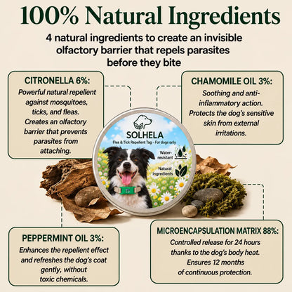 SOLHELA 100 % Natural Flea & Tick Pendant