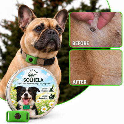 SOLHELA 100 % Natural Flea & Tick Pendant