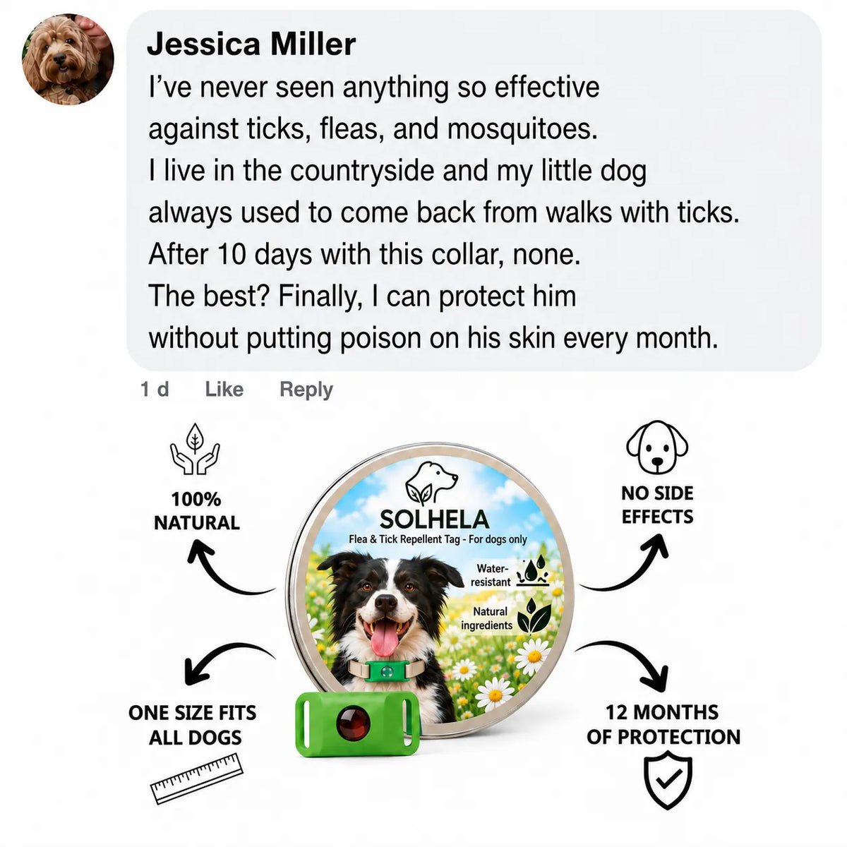 SOLHELA 100 % Natural Flea & Tick Pendant