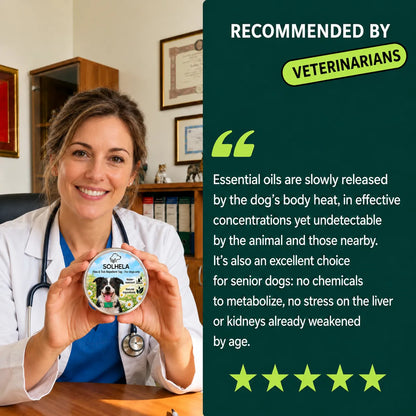 SOLHELA 100 % Natural Flea & Tick Pendant