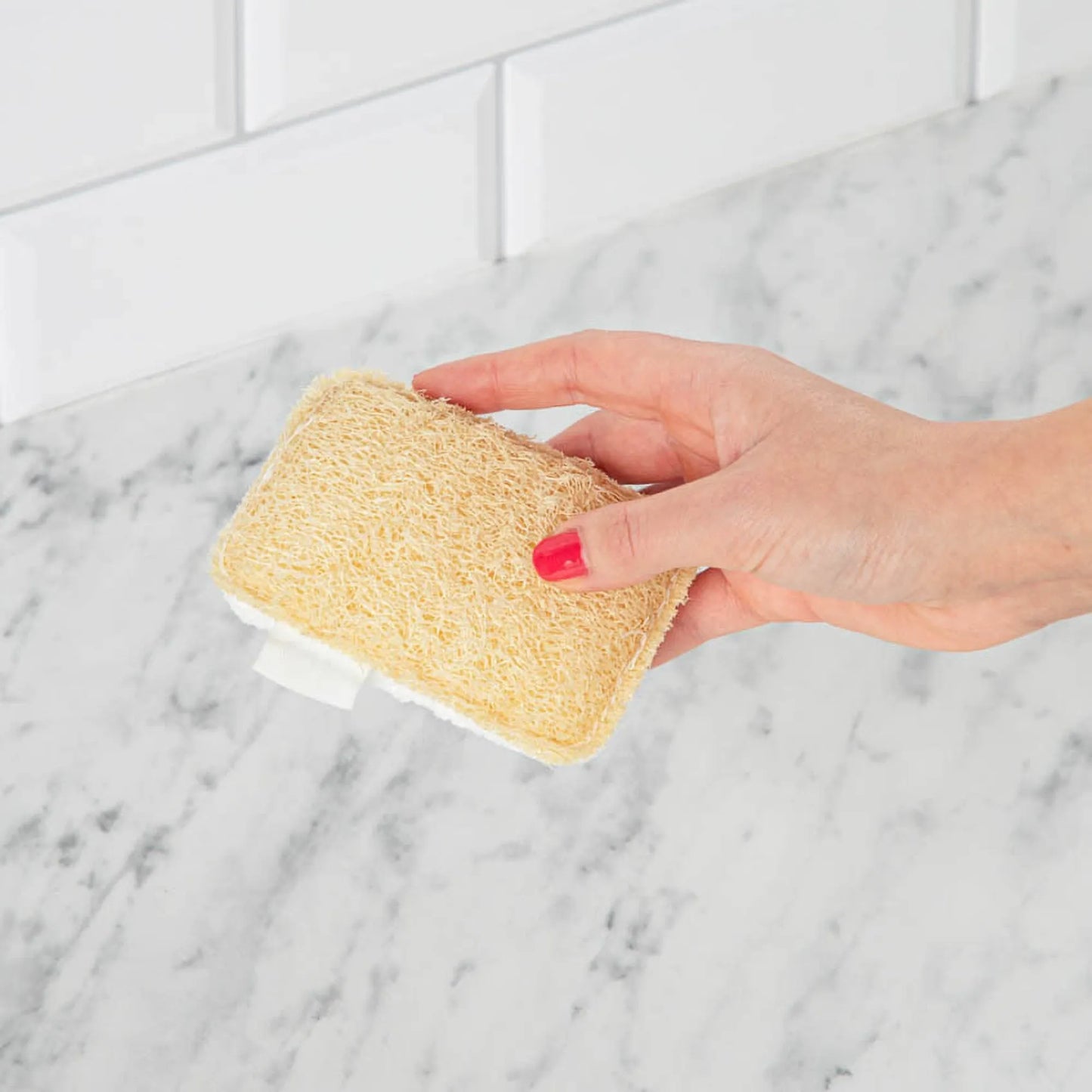 SCRUBI™ l'éponge 100% naturelle (lot de 12)