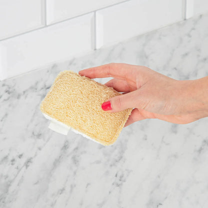 SCRUBI™ l'éponge 100% naturelle (lot de 12)